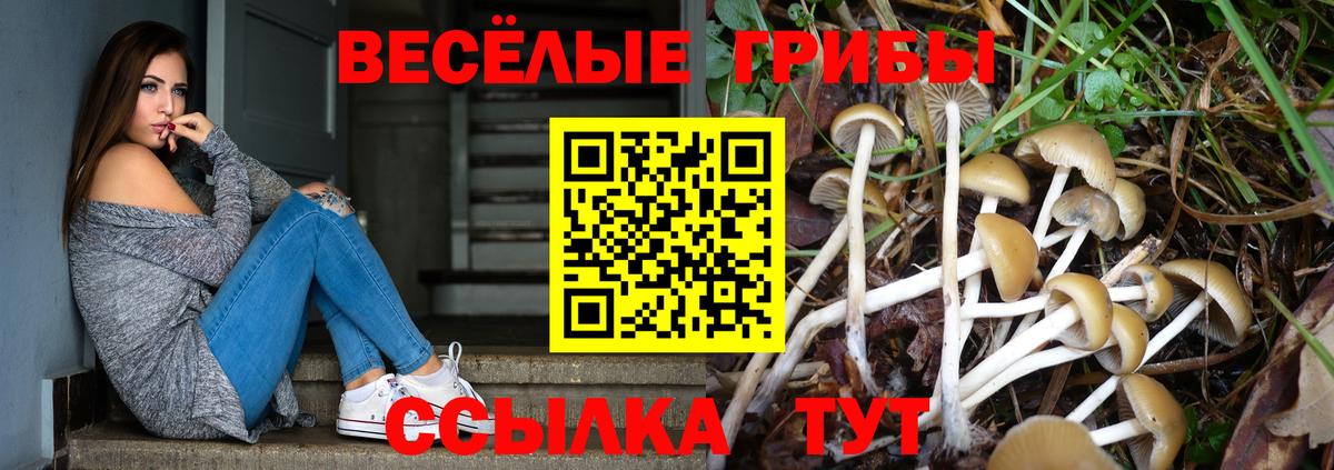 Псилоцибиновые грибы Psilocybine cubensis Пыть-Ях